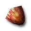 Coquillage.png