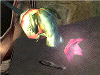 Sceptre de la grenouille-screen-animation.gif