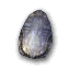 Coquillage igné.png