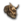 Crâne de Mergouille