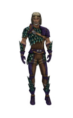 Armure d'écailles de drake pour rôdeur (Homme) - Violet Face.jpg