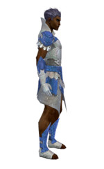 Armure élonienne pour parangon (Homme) - Bleu Droite.jpg