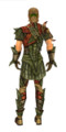 Armure d'écailles de drake d'élite Homme vert dos.jpg
