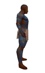 Armure du dragon pour moine (Homme) - Bleu Droite.jpg