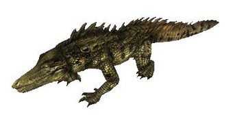 Crocodile ancien
