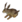 Lapin de garenne (Miniature).png