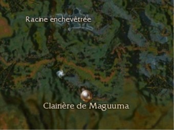 Carte générale - Clairière de Maguuma