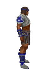 Armure de gladiateur pour guerrier (Homme) - Bleu Droite.jpg