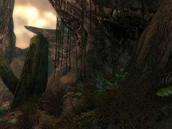Grotte obscure