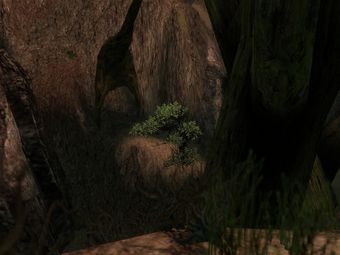Grotte obscure